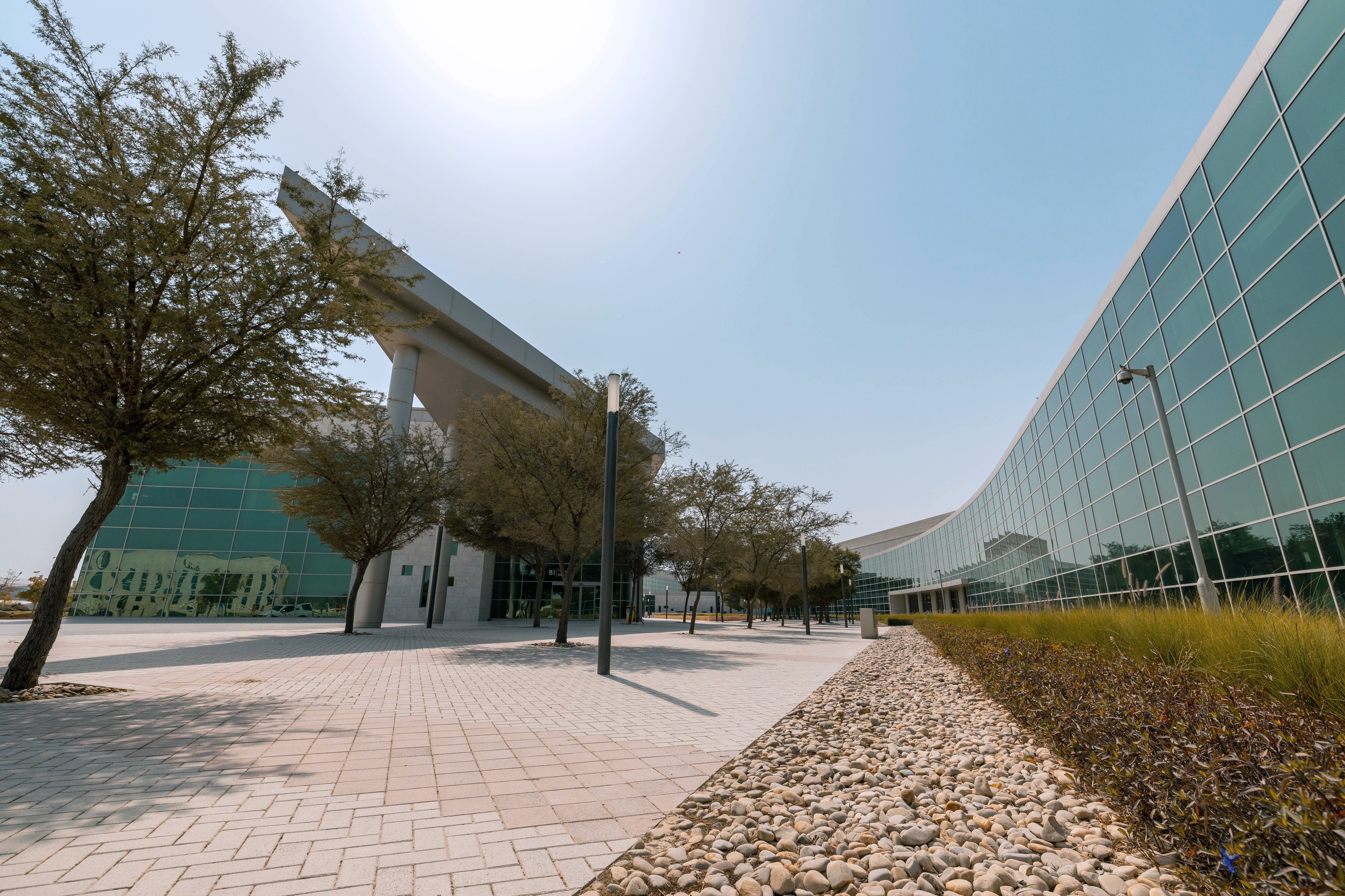 Hamad Bin Khalifa University