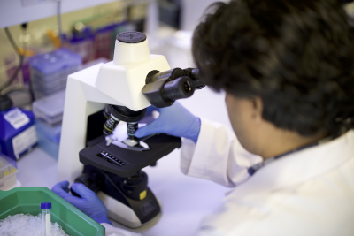 Researcher at QBRI