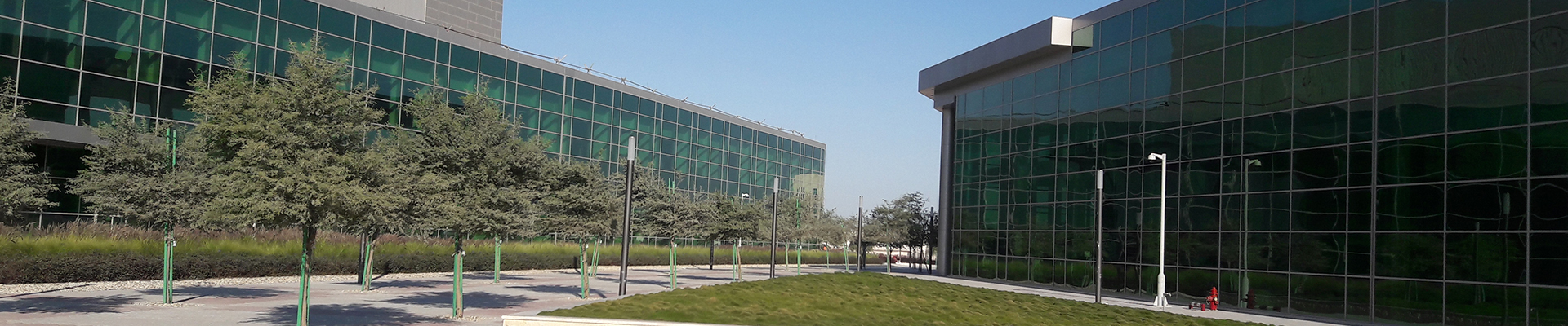 Hamad Bin Khalifa University