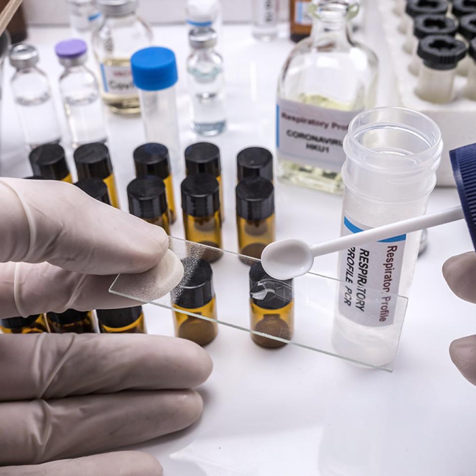 معهد قطر لبحوث الطب الحيوي ورؤى حول بيولوجيا فيروس كورونا
